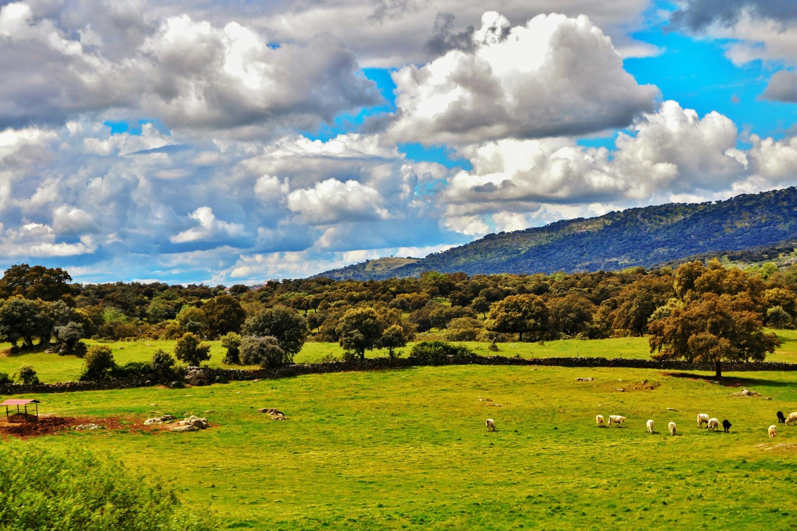 Casas Rurales Extremadura