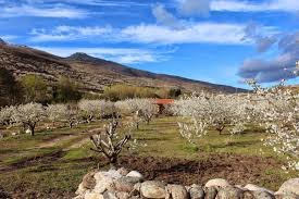 Valle del Jerte
